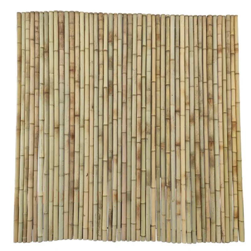 Paravan bambus, pentru gradina, natur, 180 x 180 cm