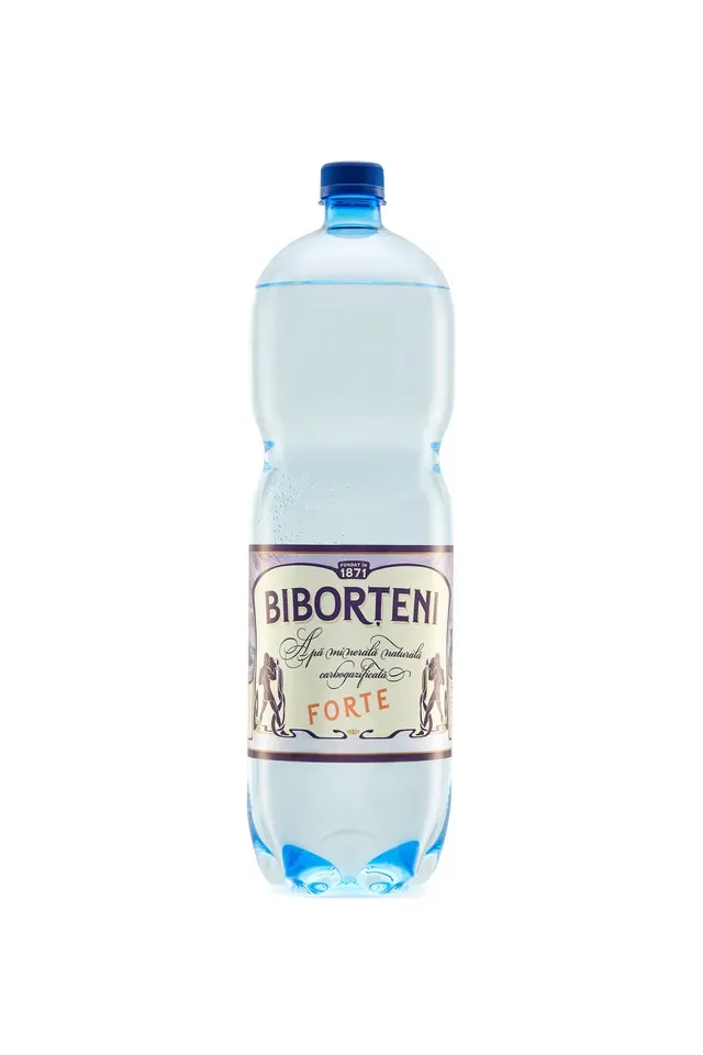 Apa minerala naturala carbogazificata Biborteni Forte, 2 l