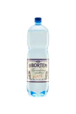 Apa minerala naturala carbogazificata Biborteni Forte, 2 l