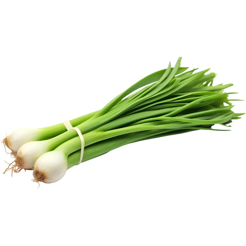 Ceapa verde romaneasca, pret pe legatura