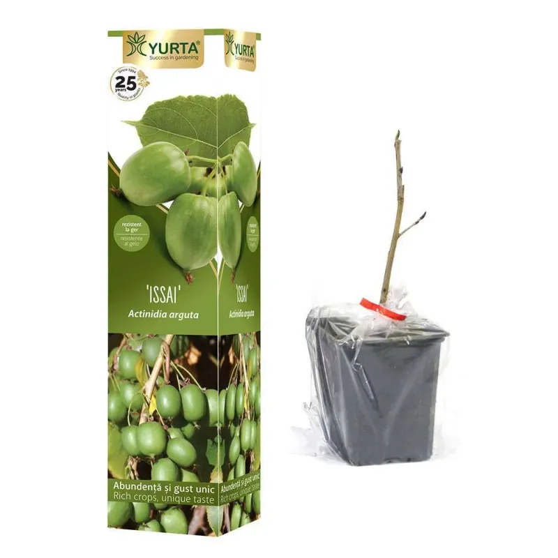 Plante cataratoare