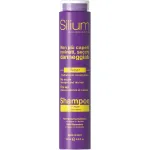 Sampon cu keratina si argan pentru par degradat sau uscat Silium, 250 ml