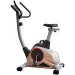 Bicicleta magnetica FitTronic® 601B, volanta 9 kg, greutate suportata 120 kg, 8 trepte de rezistenta la pedalare, display mare, afisare functii utile