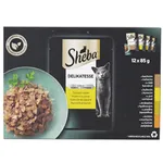 Hrana umeda pentru pisici adulte, selectie de pasare in aspic 12x85g