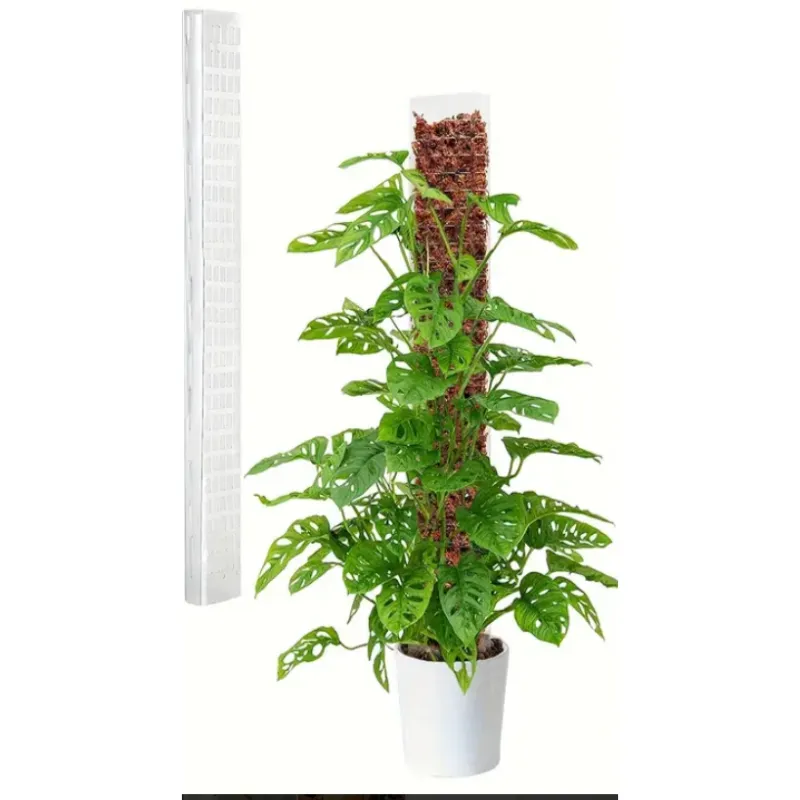 Arac Moss pole, 60cm inaltime, plin cu sphagnum moss premium Chile