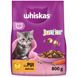 Hrana uscata pentru pisoi, cu pui 800g