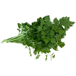 Patrunjel legatura, import
