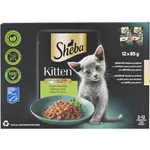Hrana umeda pentru pui de pisica, selectie mixta in sos 12x85g