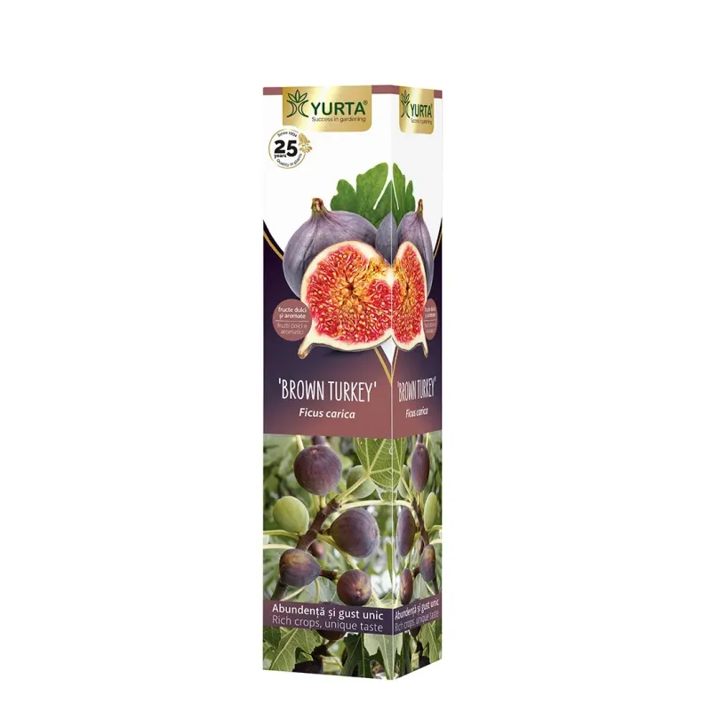 Arbust fructifer Yurta, kiwi/smochin