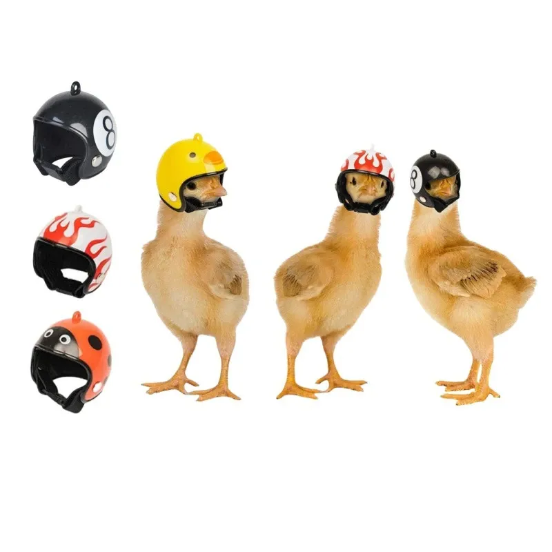 Set 3 protectii cap pentru pasari, BOMSTOM, protectie pentru cap, plastic, multicolor, 4.5x4cm, Multicolor