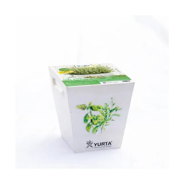 Set ladite Kitchen S, Cimbru, rasaduri aromatice