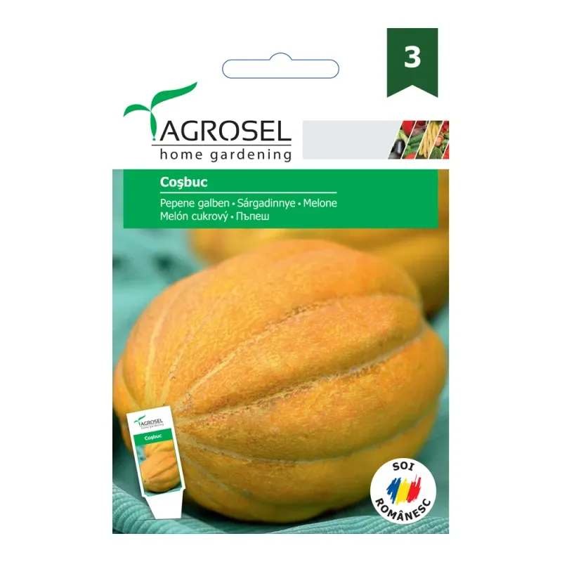 Seminte Pepene galben Cosbuc - 3g