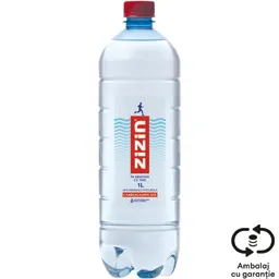 Apa minerala naturala carbogazificata 1L