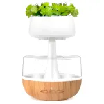 Difuzor Aromaterapie Teno, tip planta, efect de picuri, silentios, temporizator, capacitate 130 ml, maro