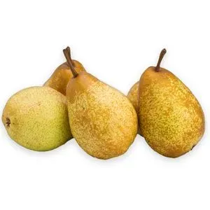 Pere Rocha, +/- 1 kg