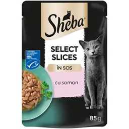 Hrana umeda pentru pisici cu somon 85g