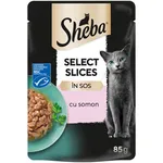 Hrana umeda pentru pisici cu somon 85g