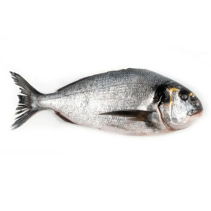 Dorada 300/400, +/- 1 kg