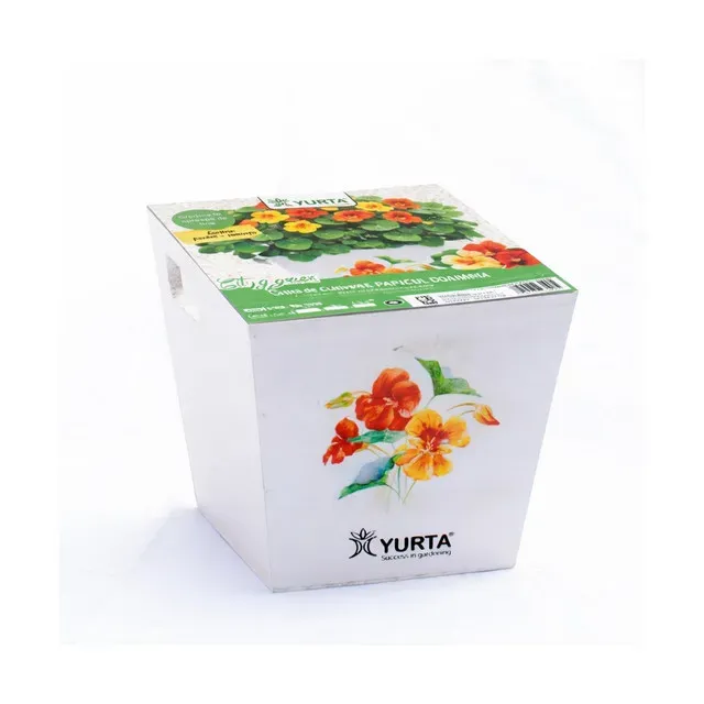 Set ladite Kitchen M, Papucul Doamnei, rasaduri ornamentale