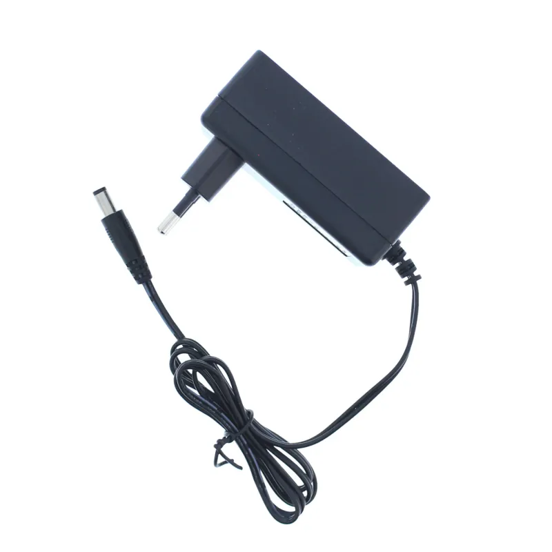 Alimentator Well AC / DC, 2A, 12V | Dedeman