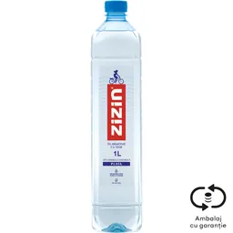 Apa minerala naturala plata 1L