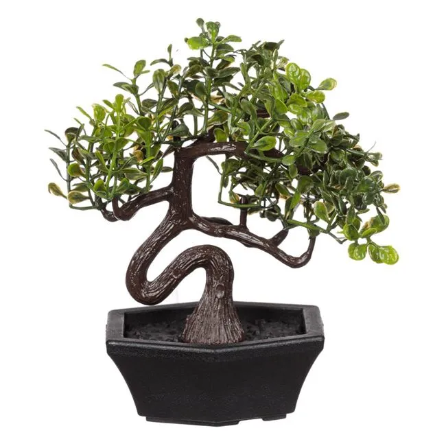Ghiveci Decorativ cu Bonsai 11cm