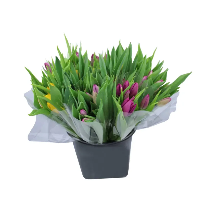 Buchet 7 lalele, diverse culori