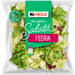 Mix pentru salata Feeria 150g