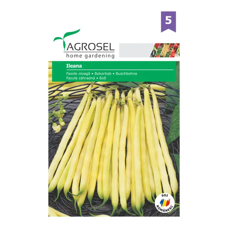 Seminte Fasole Ileana - 30g
