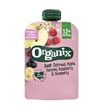Gustare de ovaz Organix, cu mere, banane, zmeura si coacaze, 100g