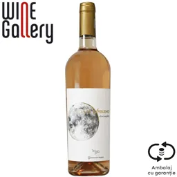 Vin roze sec bio Cuvee Experience 0.75L