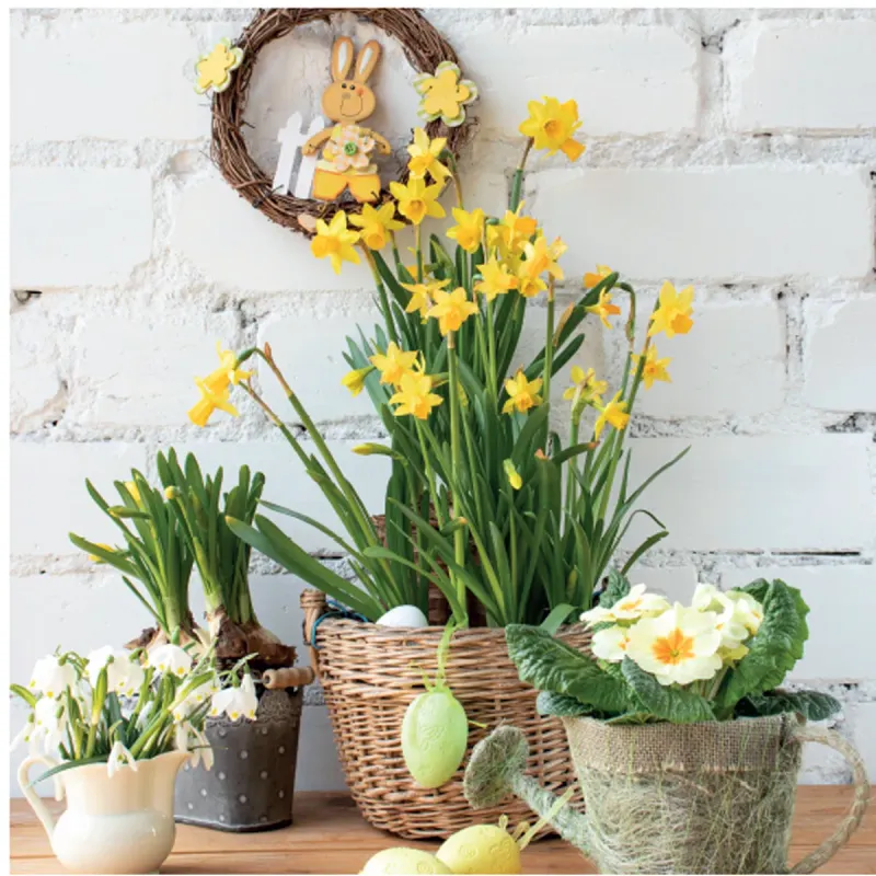 Set servetele de masa Actuel Spring Flowers, 20 bucati, 3 straturi