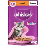 Hrana umeda pentru pui de pisica, cu pui in aspic 85g