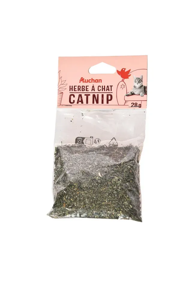 Iarba pisicii Auchan, 28 g