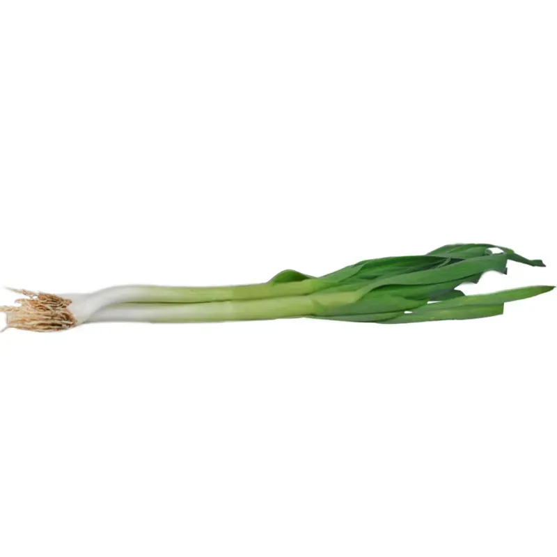 Usturoi verde, pret pe bucata