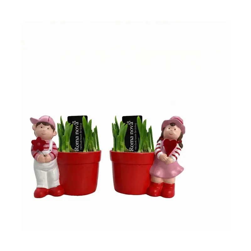Narcise, planta ornamentala, D16 cm