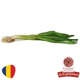 Usturoi verde