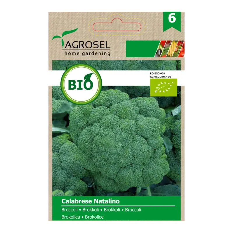 Broccoli calabrese natalino  eco