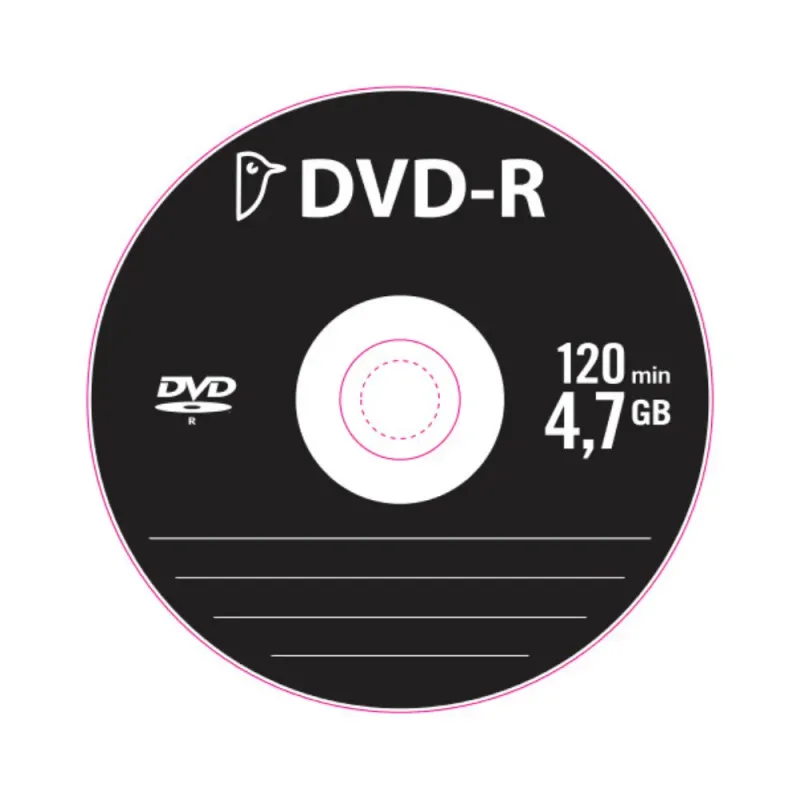DVD Blank 4.7GB cu plic Pouce