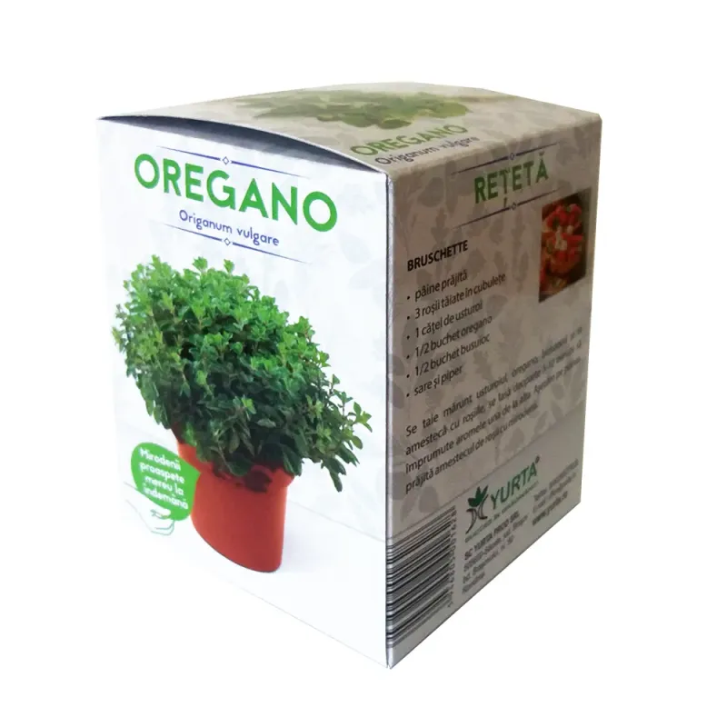 Oregano /origanum vulgare