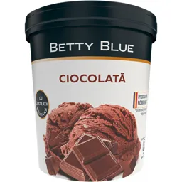 Inghetata cu ciocolata 482g