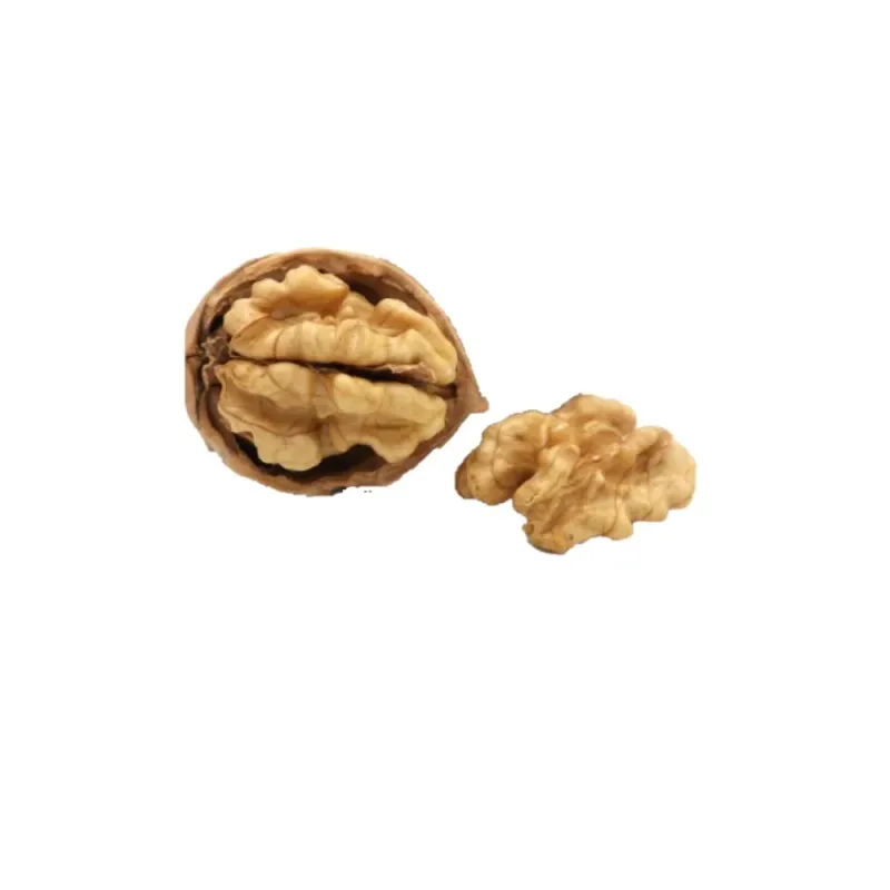 Nuci in coaja, +/- 1 kg