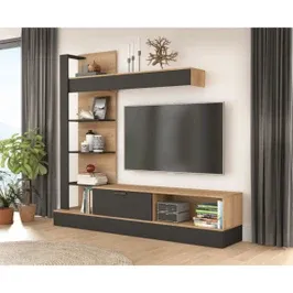 Biblioteca living Geluza, stejar + negru, 205 cm, 2C