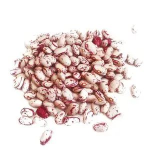Fasole pestrita, +/-1 kg