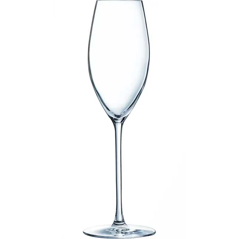 Pahar pentru sampanie Actuel Olympia, 240 ml, sticla
