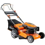 Ruris Masina de tuns gazon DAC 120XLS, 4 CP, 460 mm, 55 l - Masina de tuns gazon DAC 120XLS, 4 CP, 460 mm, 55 l