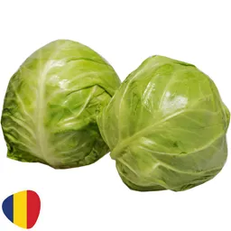 Varza alba extratimpurie, Romania