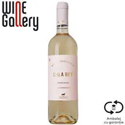 Vin roze sec Tempranillo Rosado 0.75L