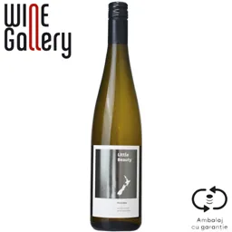 Vin alb sec Pinot Gris 0.75L